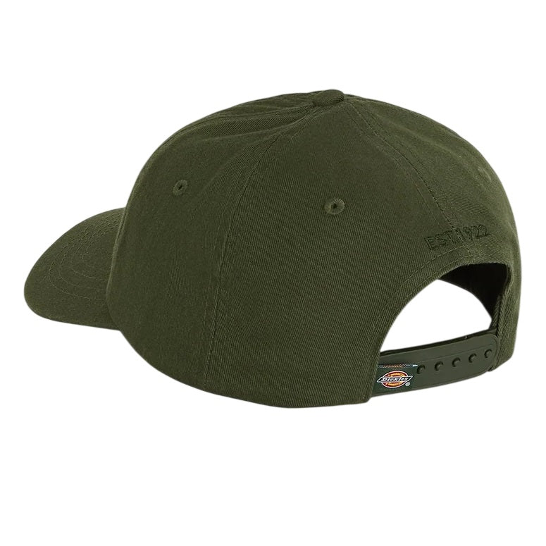 Dickies Hardwick Cap Dunkelgrün