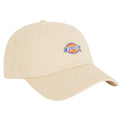Dickies Hardwick Cap Offwhite