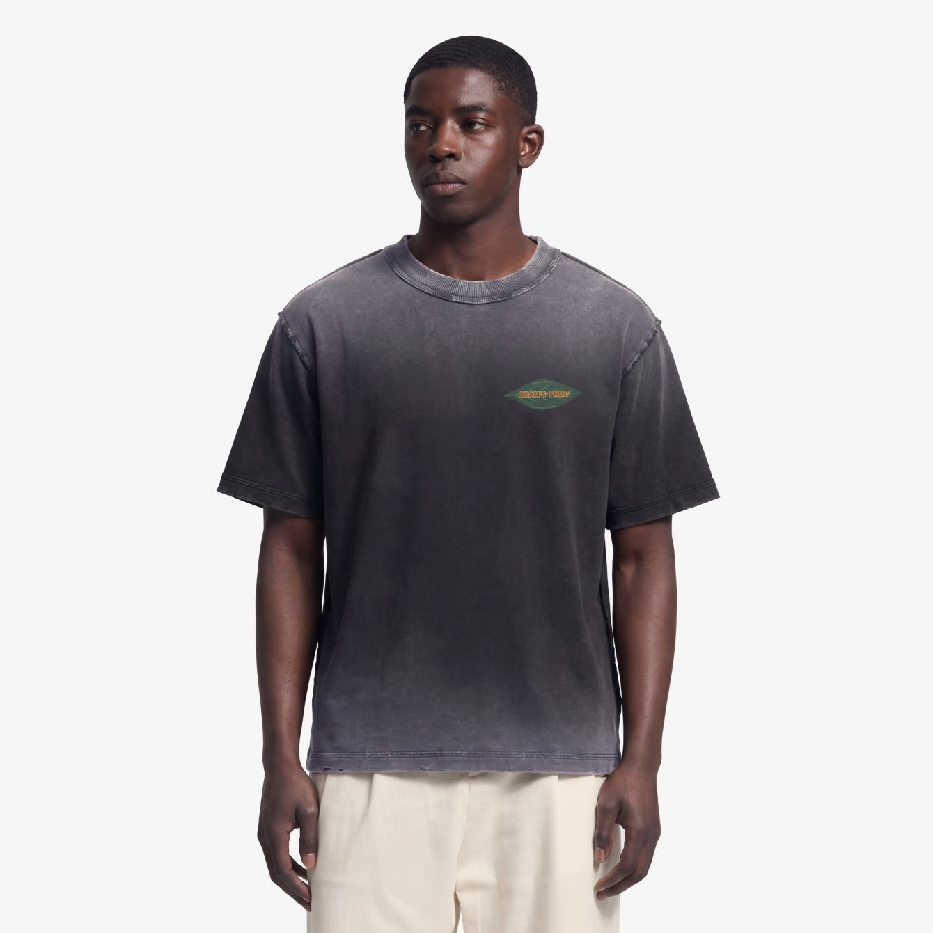 Bram’s Fruit Distressed Leaf T-shirt Zwart