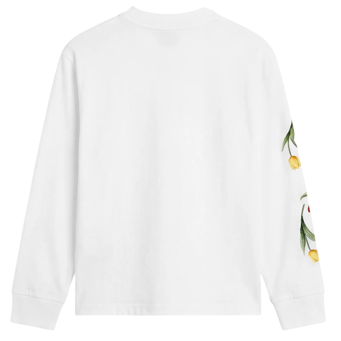 Bram’s Fruit Flora 2.0 Langarm-T-shirt Weiß