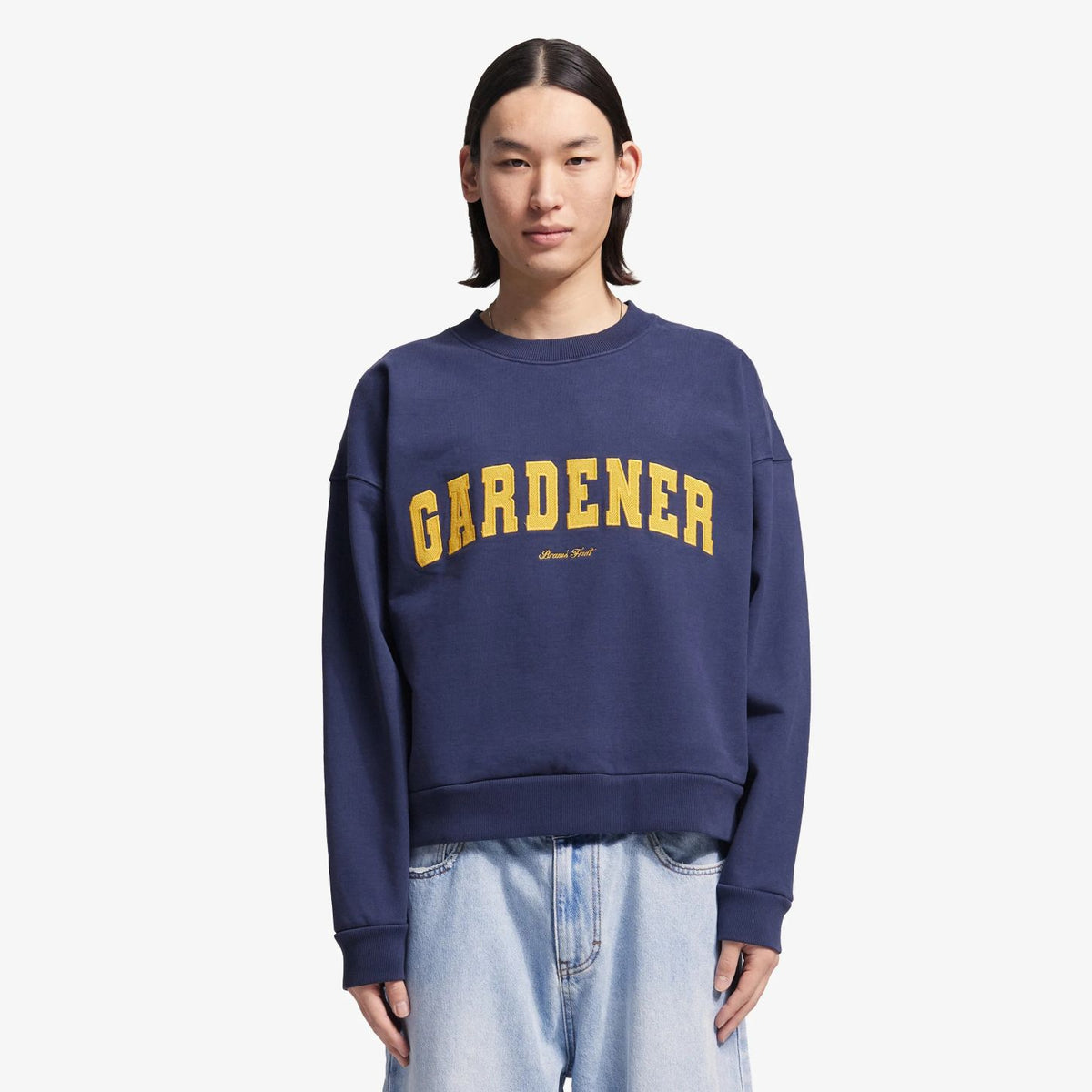 Bram’s Fruit Gardener Pullover Dunkelblau