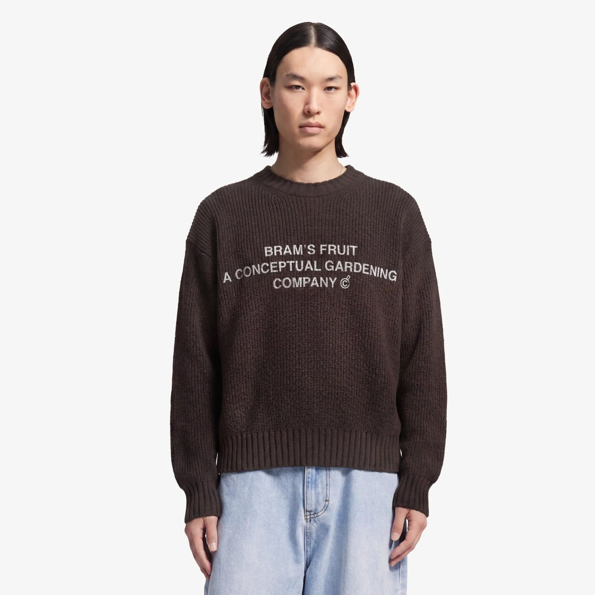 Bram’s Fruit Stamp Strick-Pullover Braun