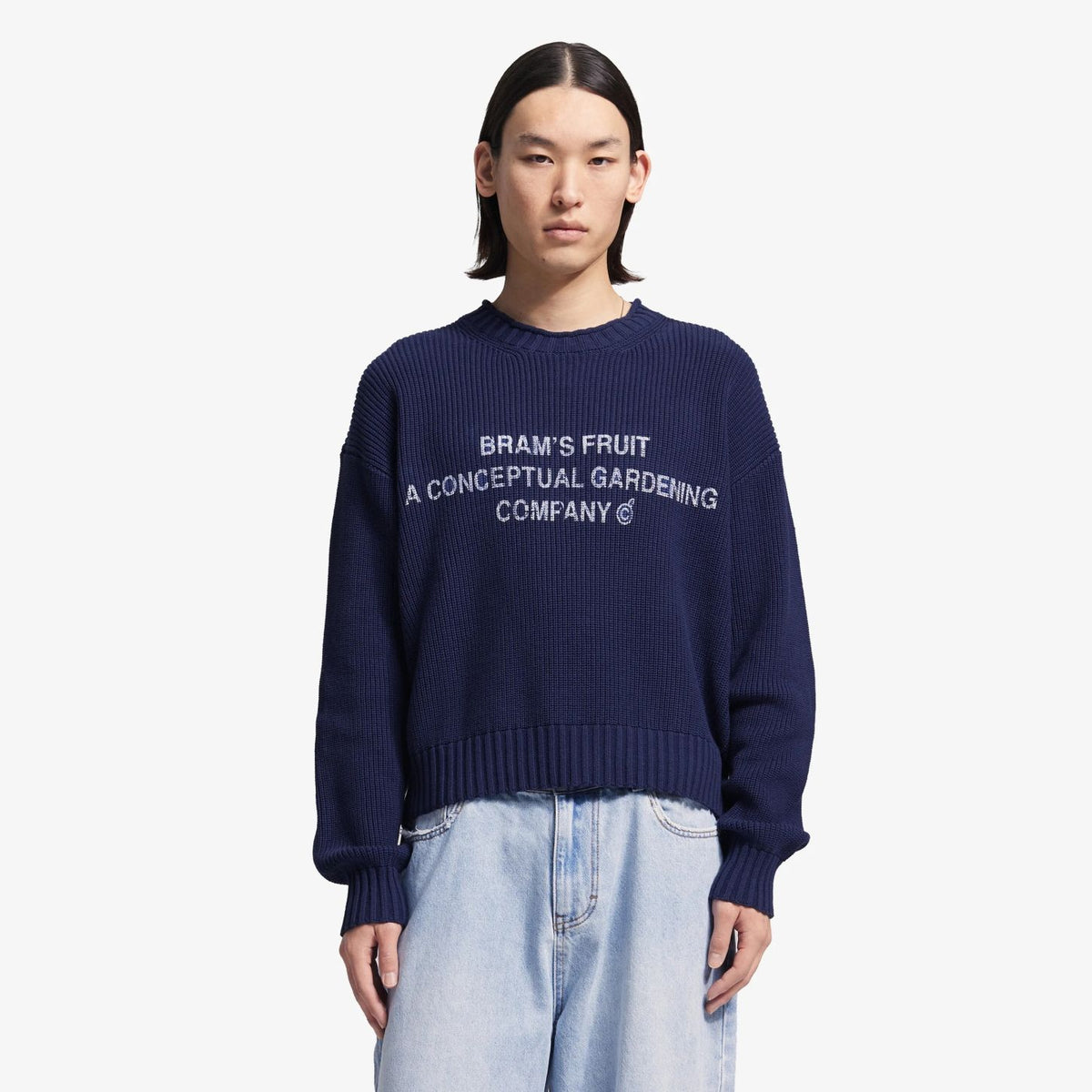 Bram’s Fruit Stamp Strick-Pullover Marine