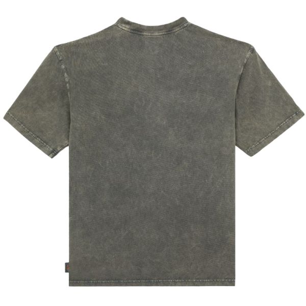 Dickies Newington T-shirt Donker Groen