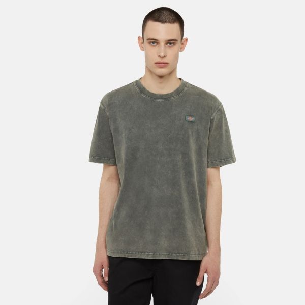 Dickies Newington T-shirt Donker Groen