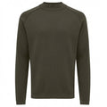 Genti Turtle Pullover Dunkelgrün