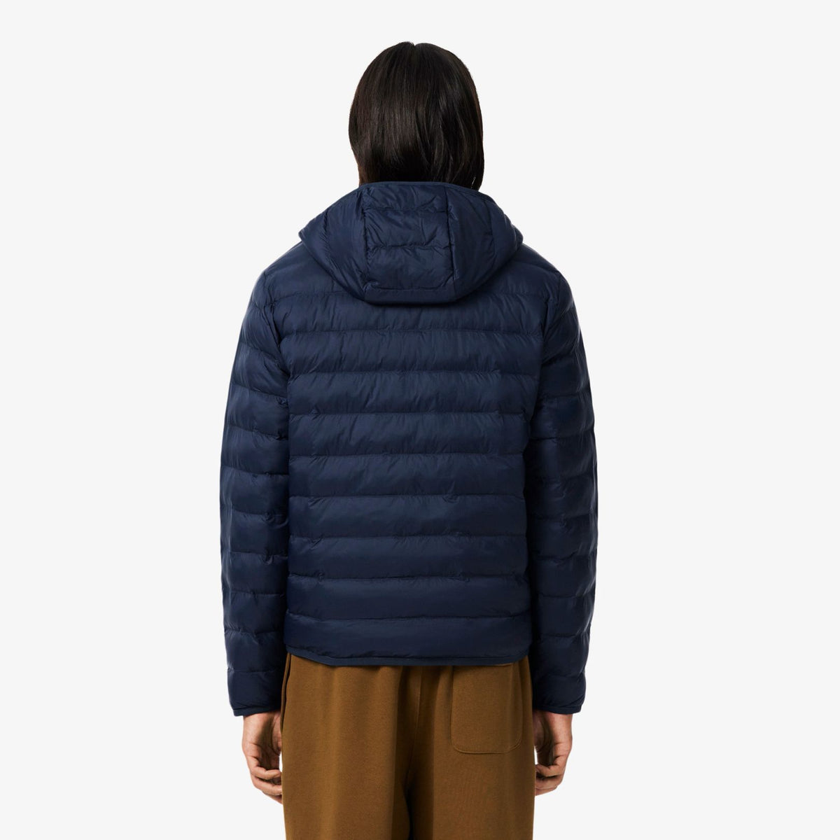 Lacoste Daunenjacke Marine