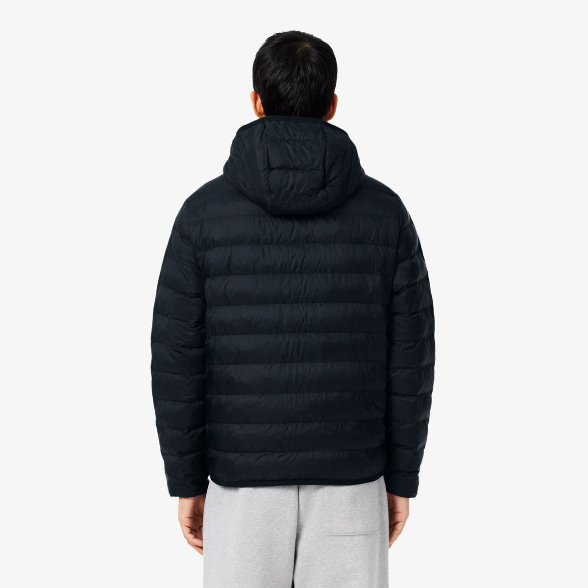 Lacoste Daunenjacke Schwarz