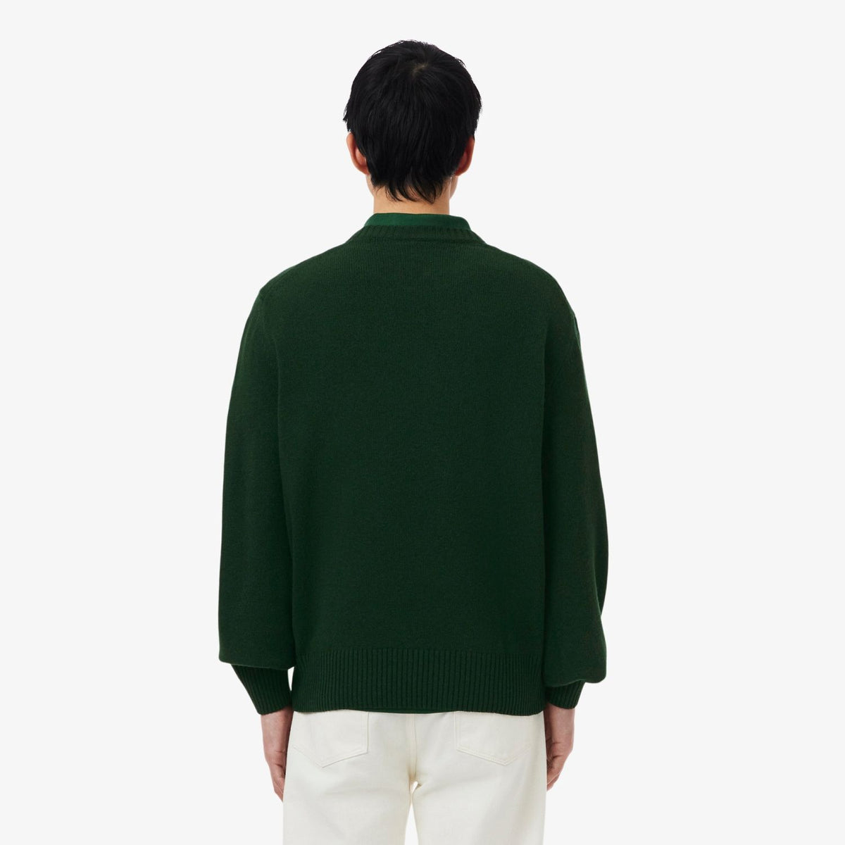 Lacoste Strickpullover Dunkelgrün