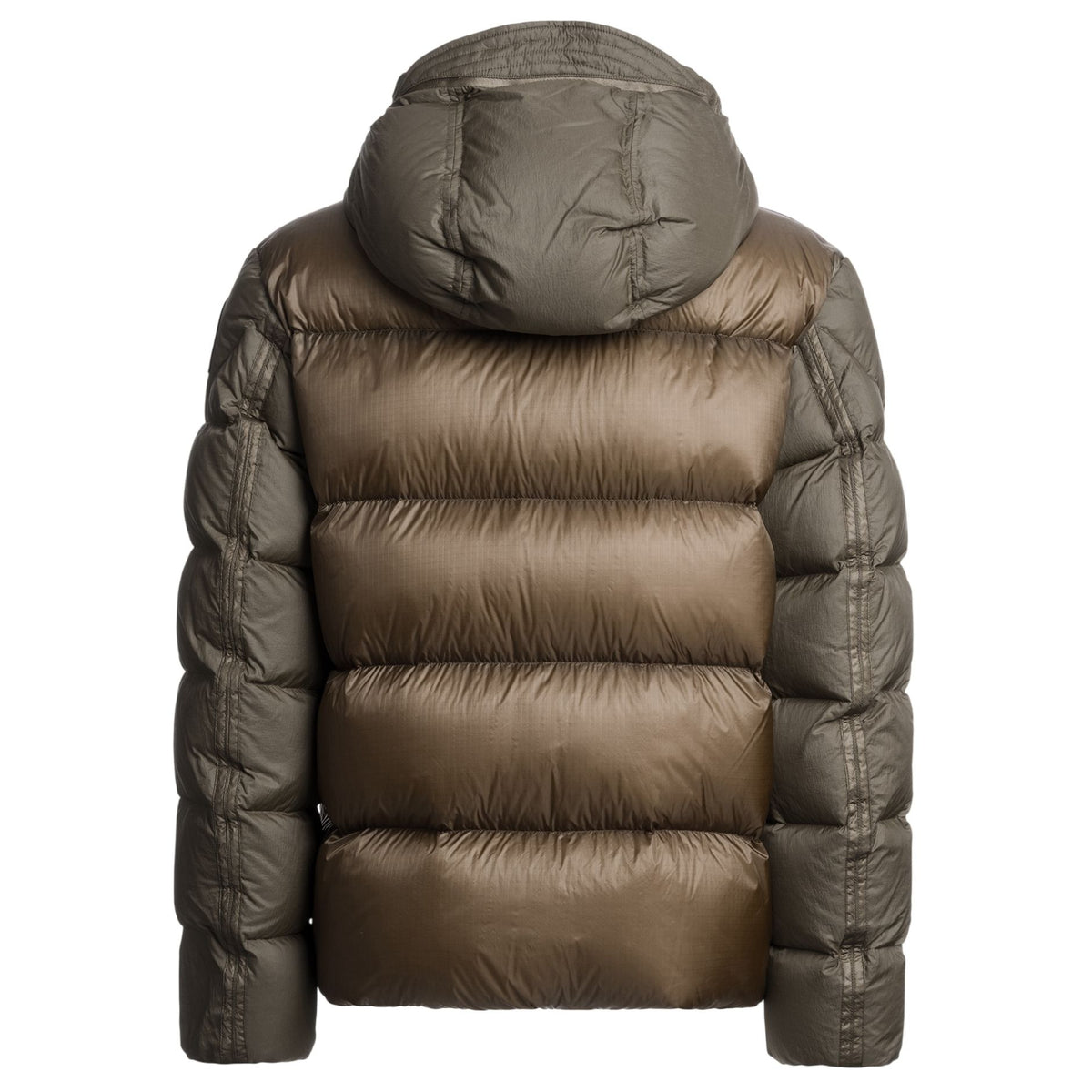 Parajumpers Notigi Jacke Dunkelgrün