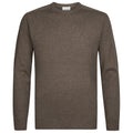 Profuomo Strickpullover Pullover Braun