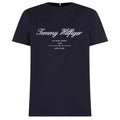 Tommy Hilfiger Script Logo T-shirt Navy